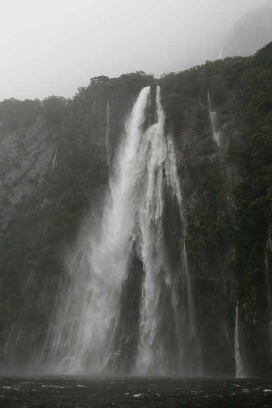 Nieuw-Zeeland 2011 - 1692